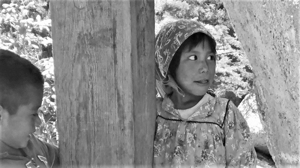 Tarahumara Innocent