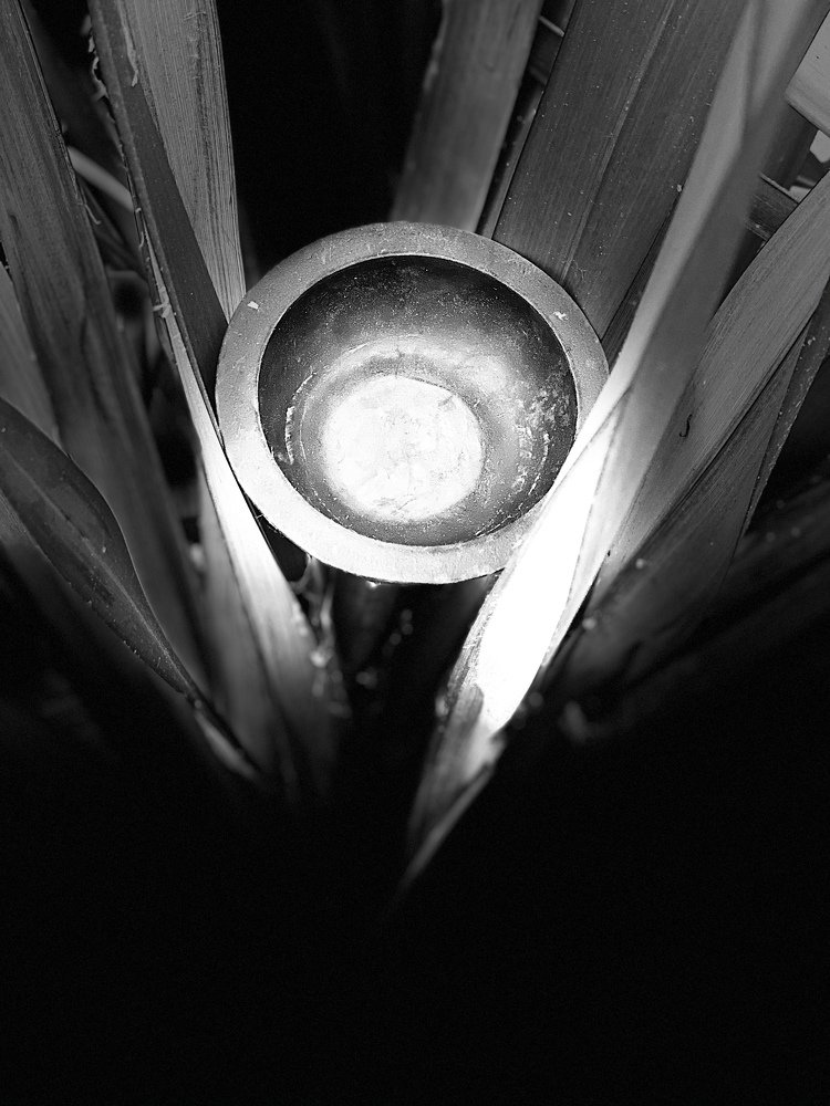Photograph by Mirta Gendin Gendin
