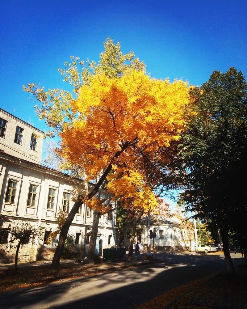 Photograph by Николай Авраменко