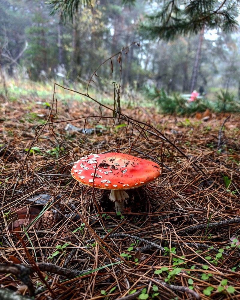 Photograph by Николай Авраменко