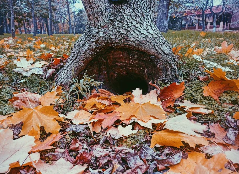 Photograph by Николай Авраменко