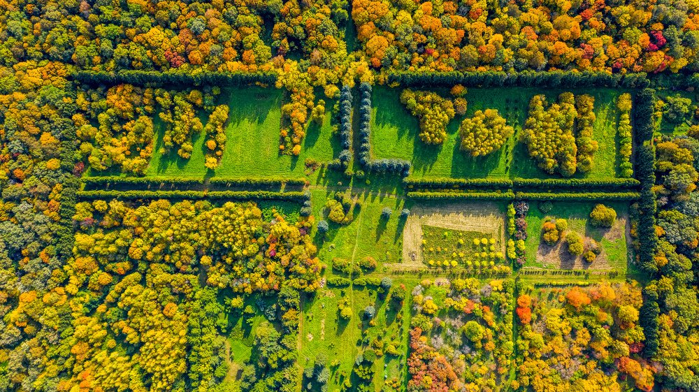 Photograph by Паша Савельев