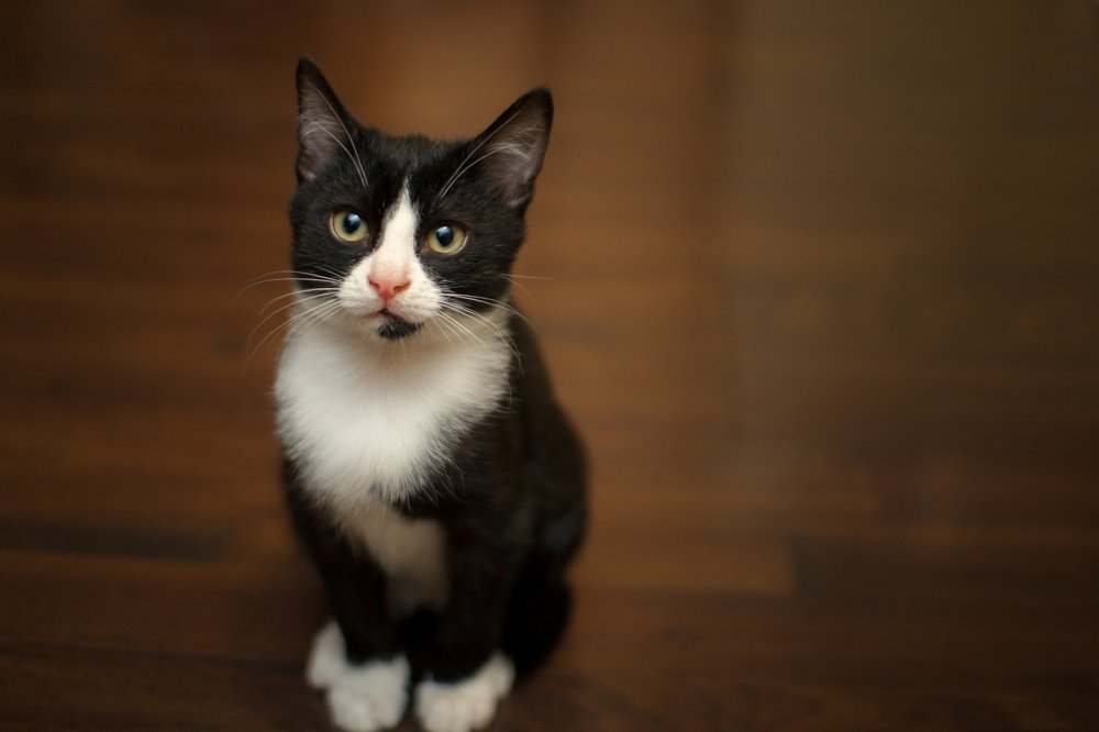 Photograph by Артур