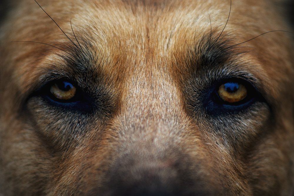 Photograph by Артур