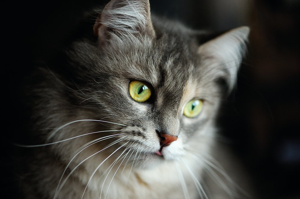 Photograph by Артур