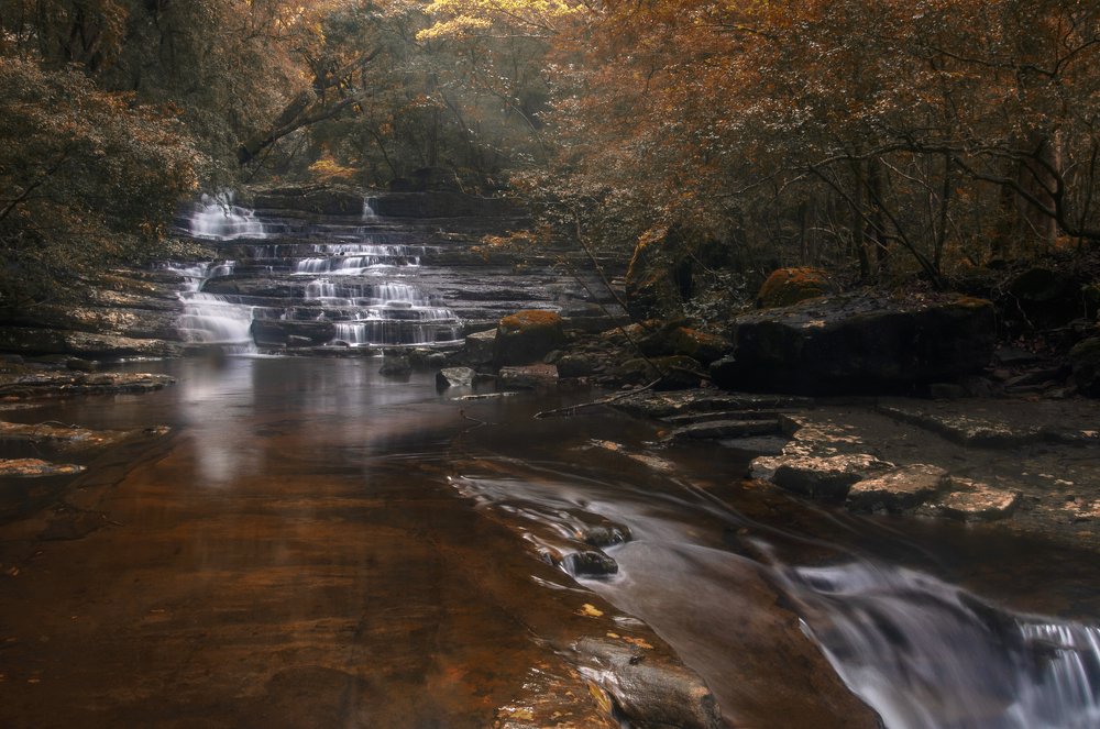 Photograph by Chamara Sulakkhana Polwatta Siriyalage