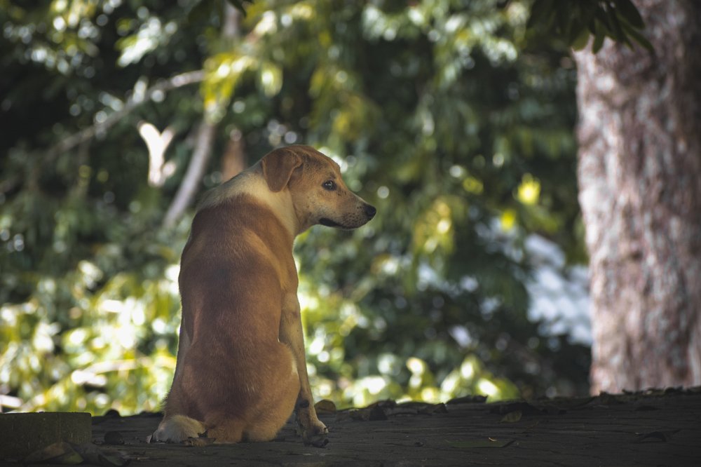 Photograph by Nicholas Ng