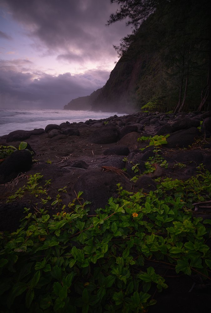 Photograph by Carlos Cuervo