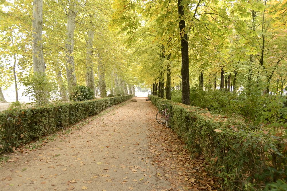 Photograph by Marcos Contreras Ortiz