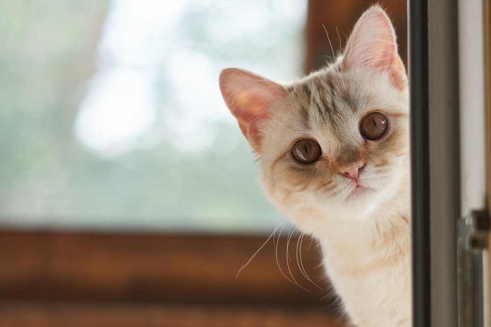 Photograph by Александра Кулякина