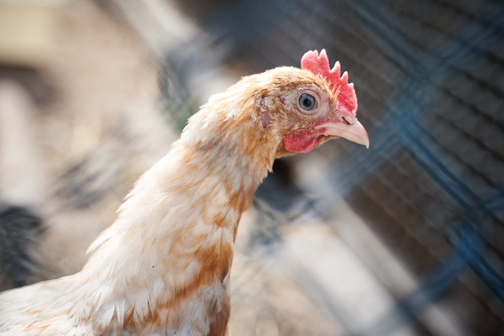 Photograph by Александра Кулякина