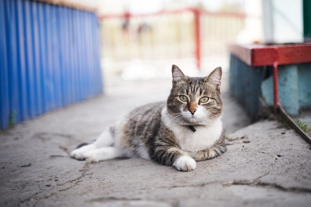 Photograph by Александра Кулякина