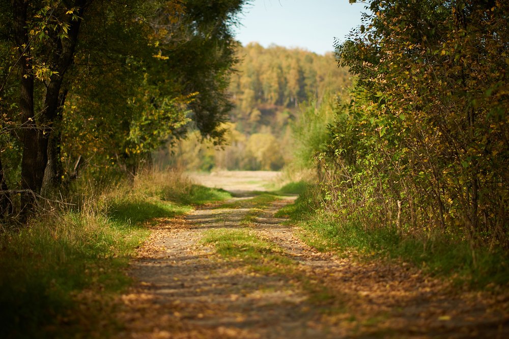 Photograph by Александра Кулякина