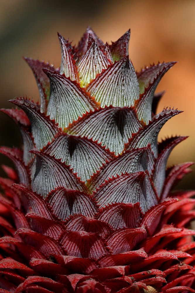 Photograph by Yuwaraj Gurjar