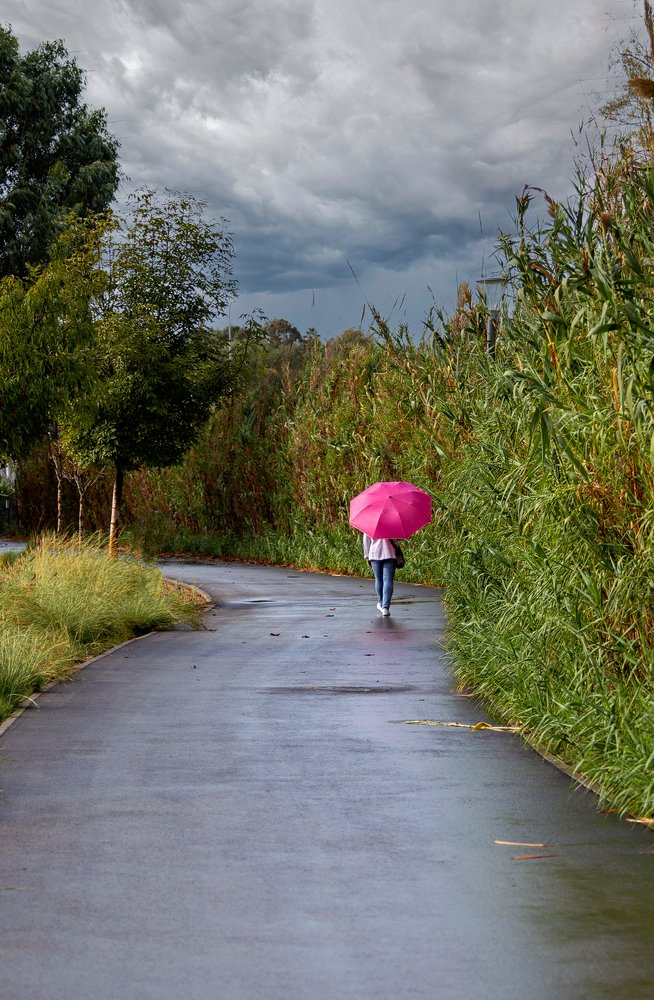 Фотография автора Сергей Середовой