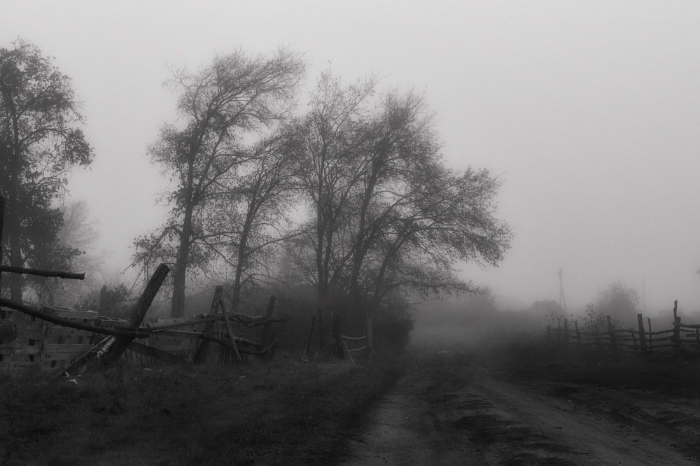 Photograph by Наталья Викарчук