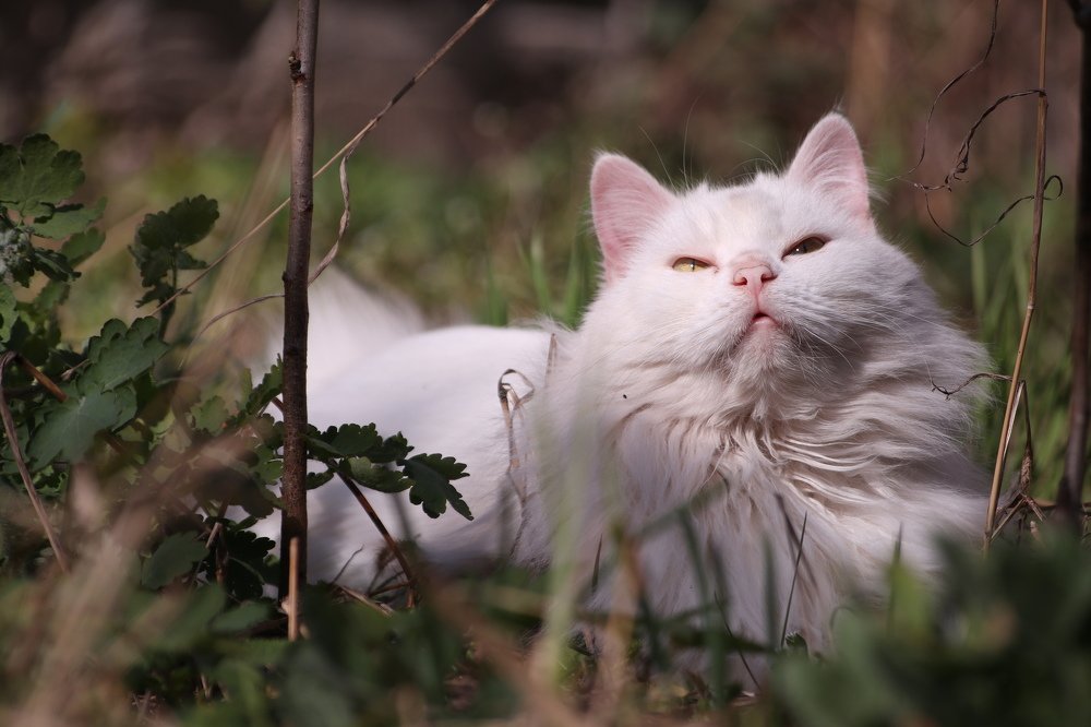 Photograph by Марина Куценко