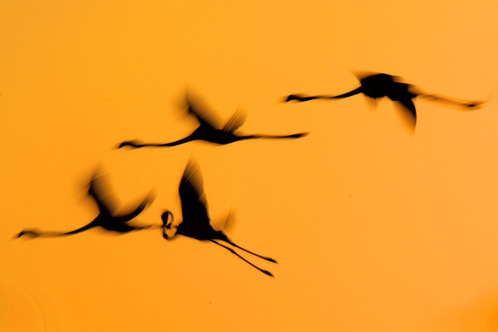 Photograph by Yuwaraj Gurjar