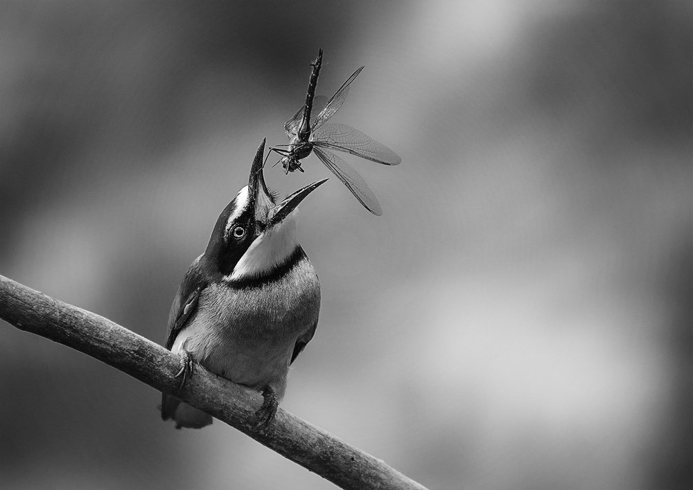 Есть только миг...