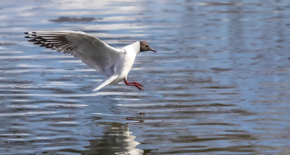 Photograph by Александр Широких