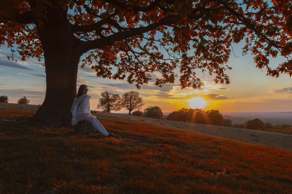 Photograph by Mihai Romeo Bogdan