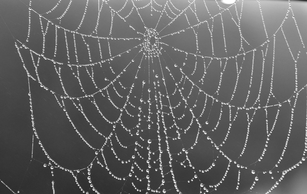 Фотография автора Justyna Jeżak