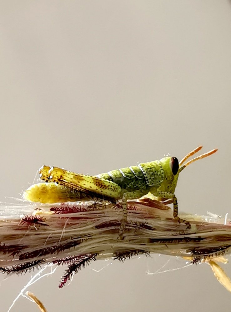 Photograph by Chunhou Poon