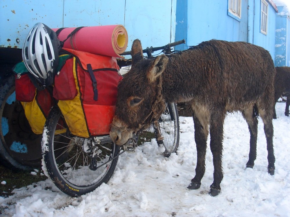 Photograph by Сергей Смоленцев