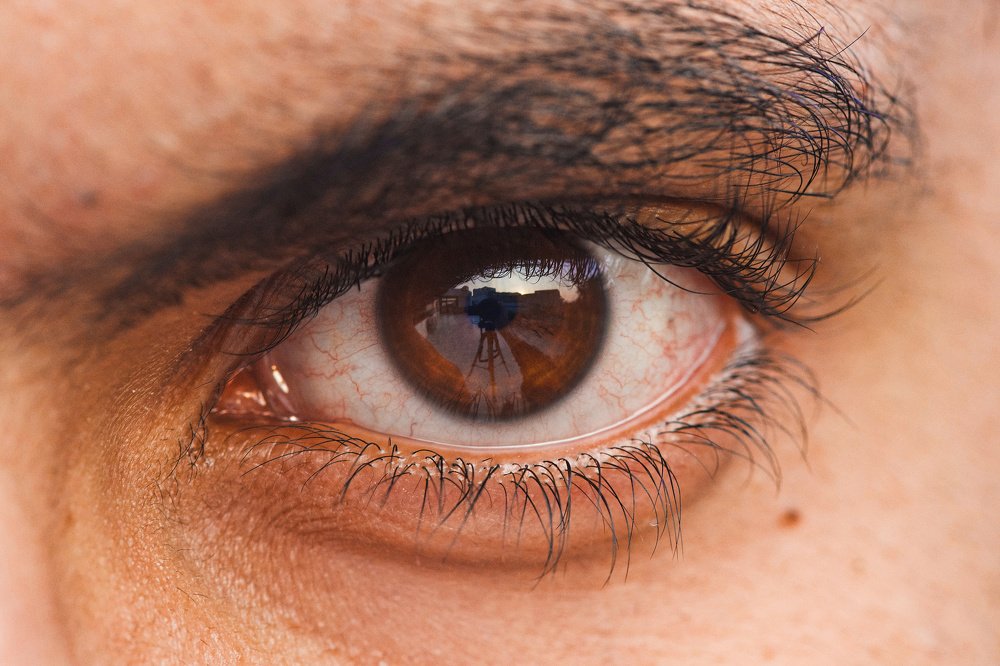 Photograph by Rishay Madan