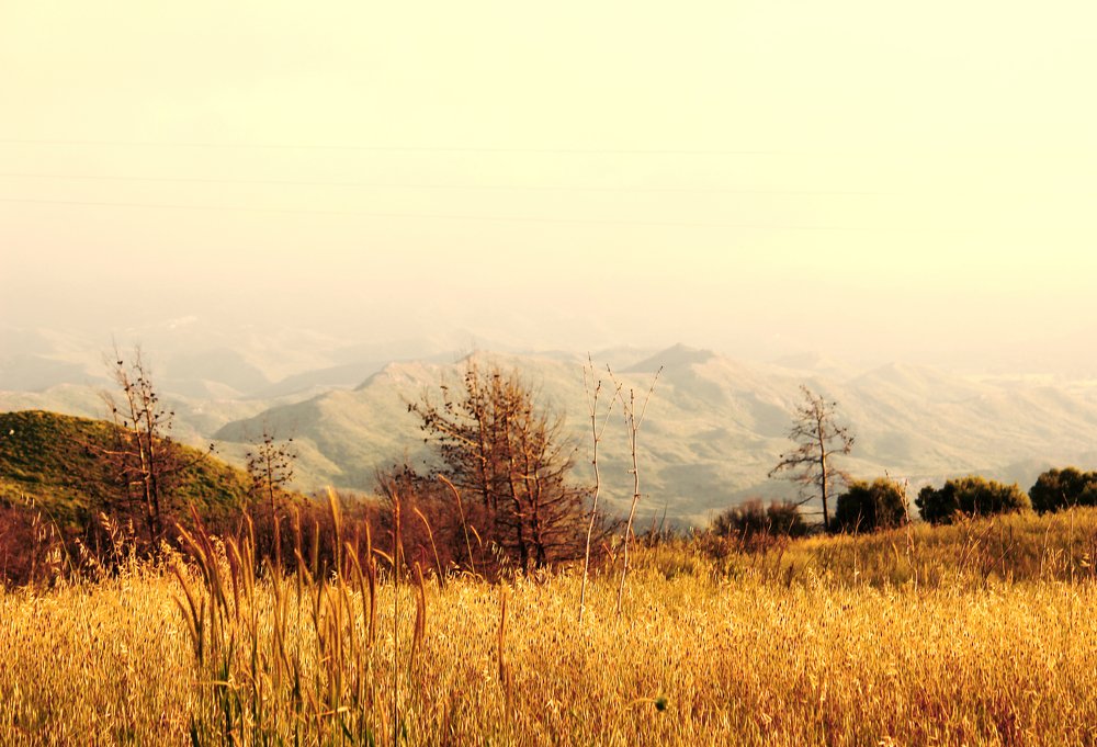 Photograph by Михаил Четвертков