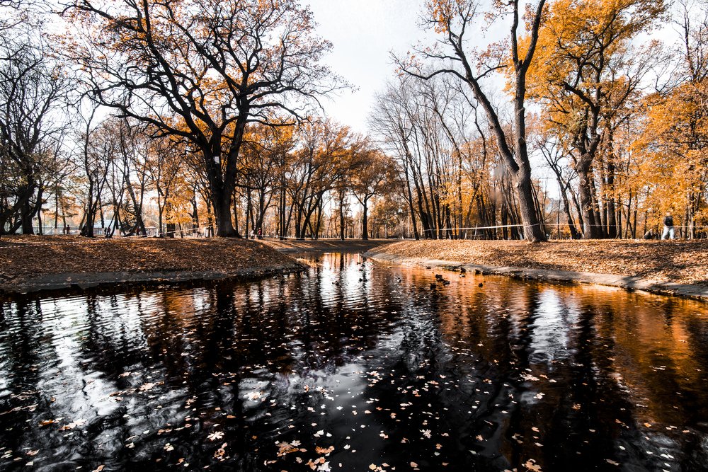 Photograph by Михаил Четвертков