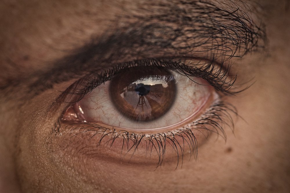 Photograph by Rishay Madan