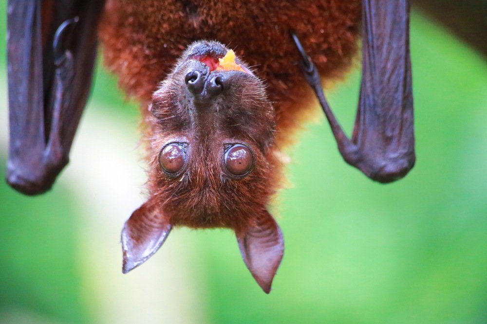 Photograph by Александр Юдин