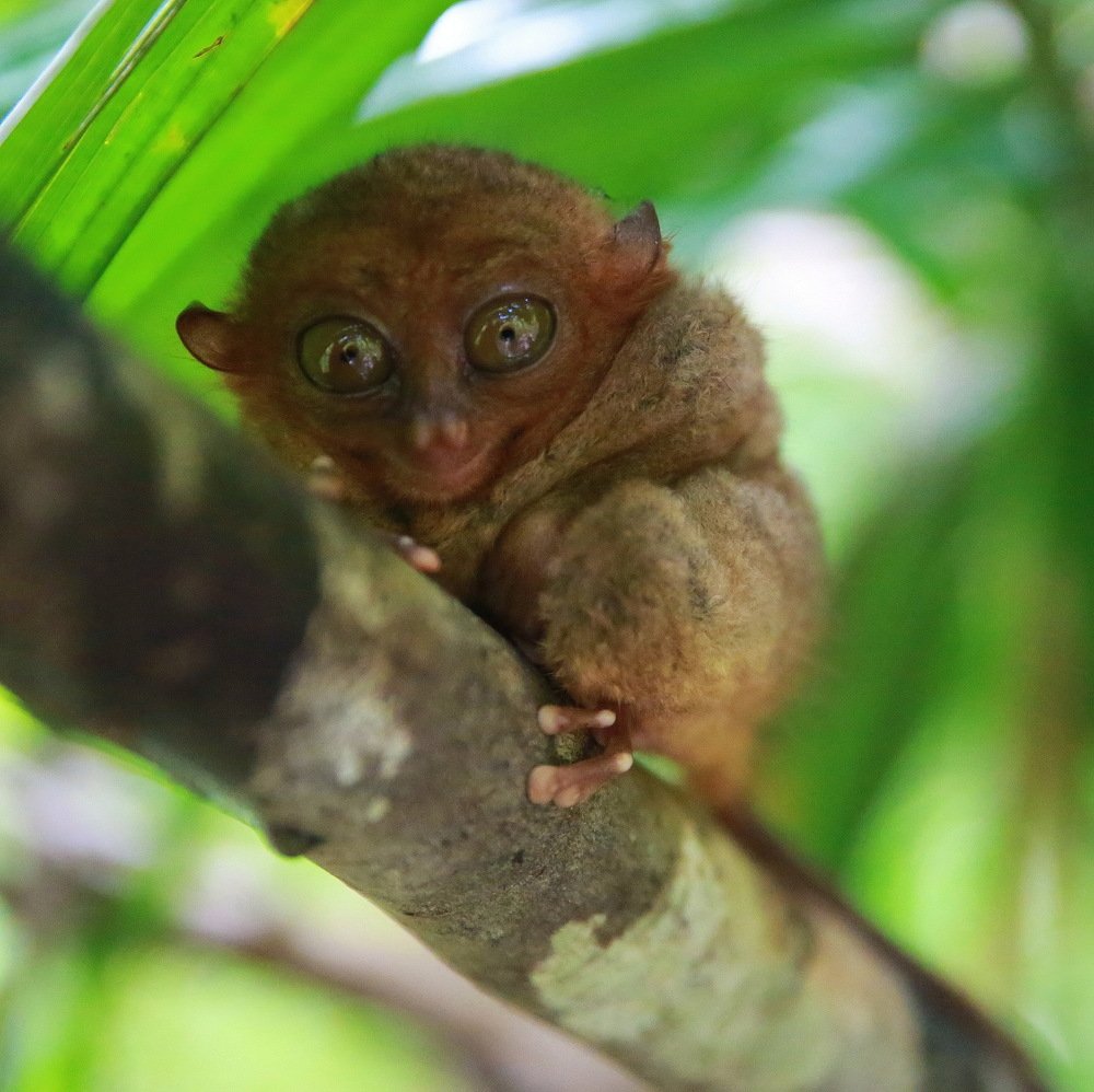 Photograph by Александр Юдин