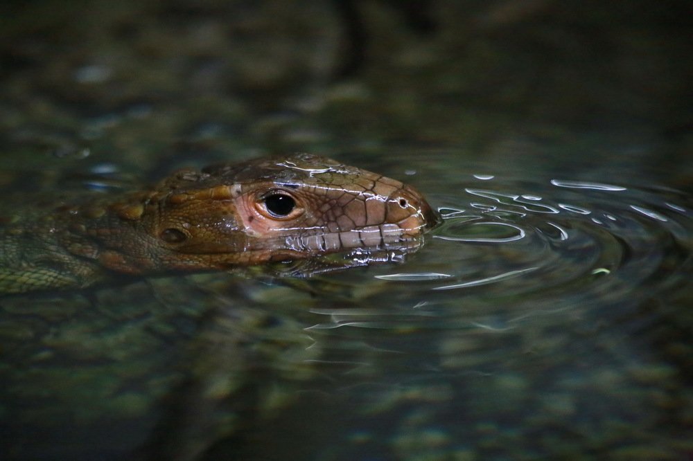 Photograph by Александр Юдин