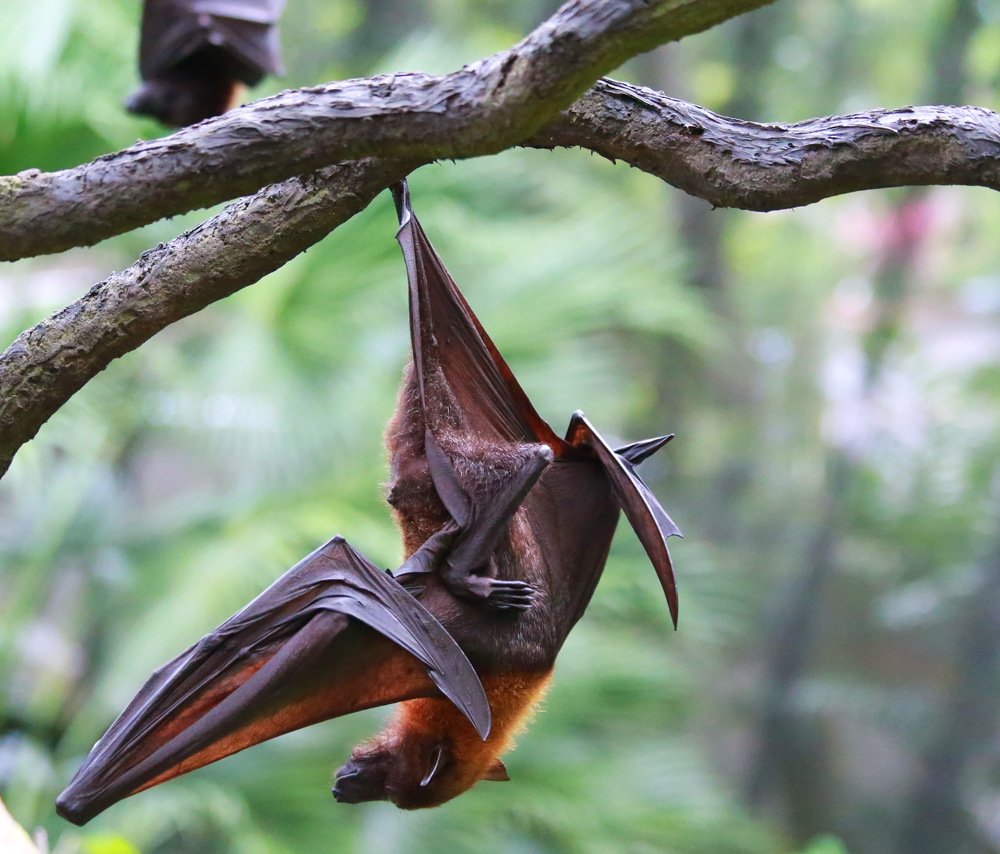 Photograph by Александр Юдин