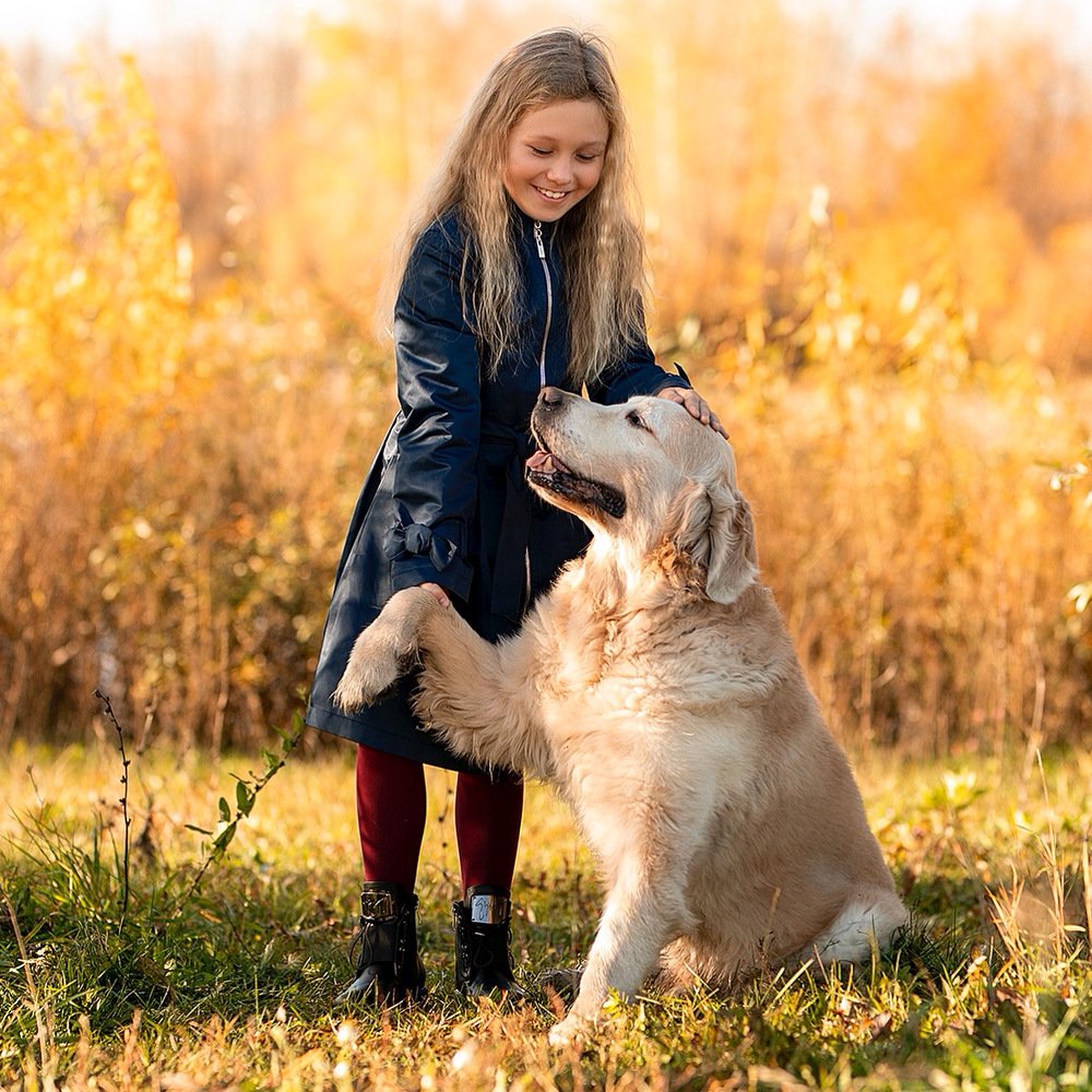 Photograph by Алина Горожанкина