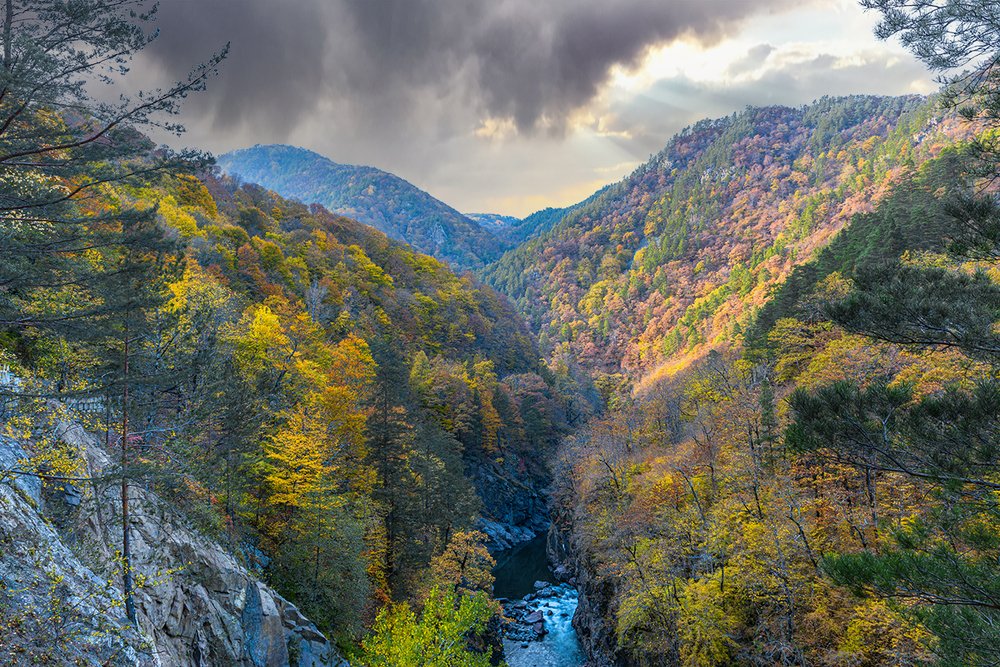 Photograph by Владимир Ушаров