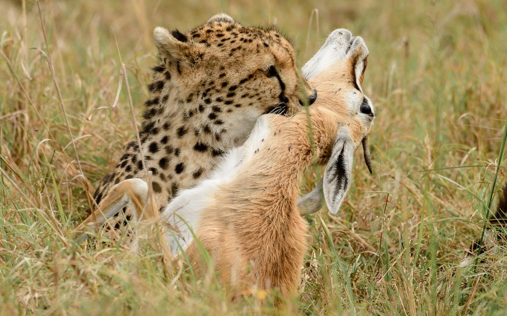 Photograph by Vignesh Ramachandran