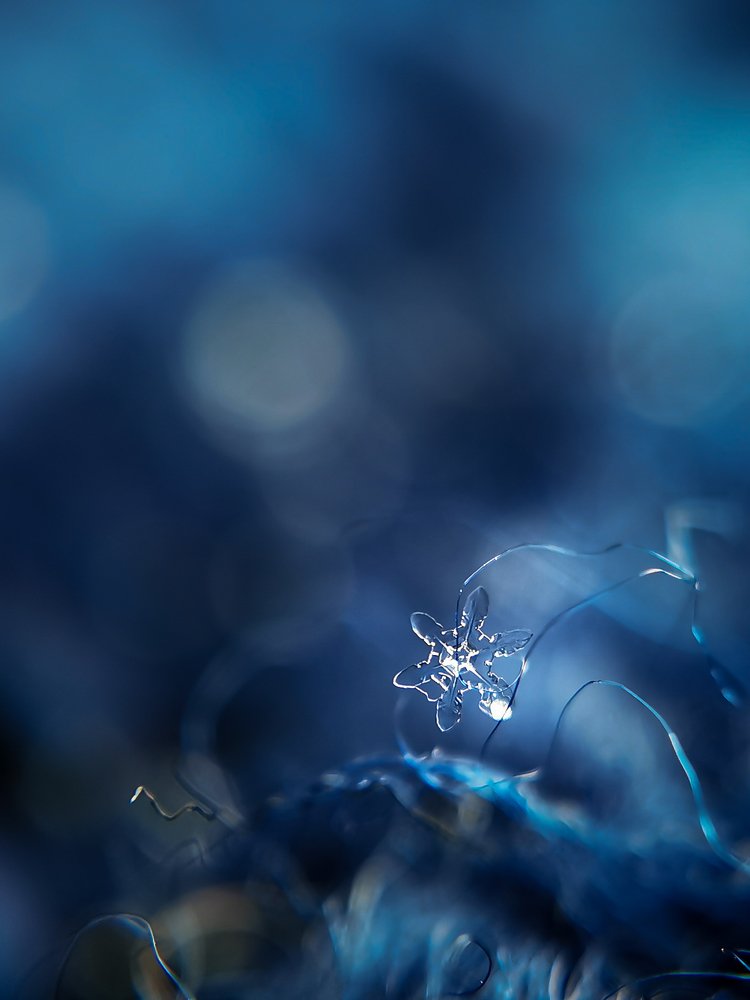 Фотография автора Наталья