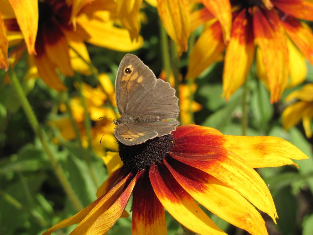 Photograph by Юлия