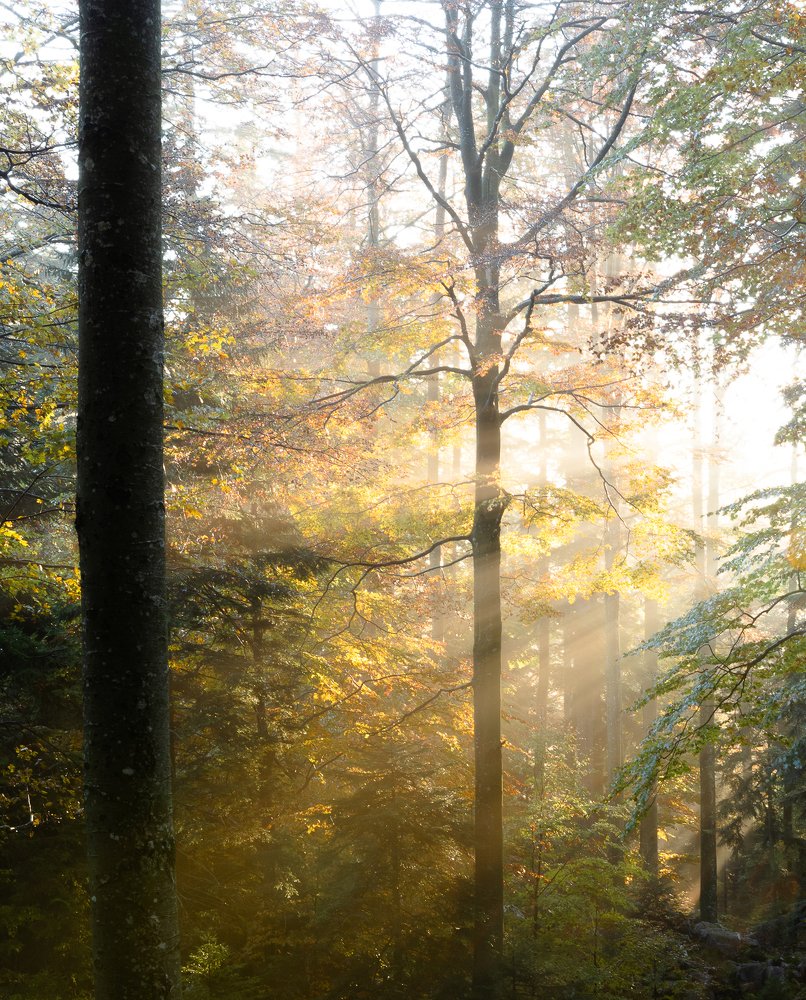 Photograph by Jernej Peljhan