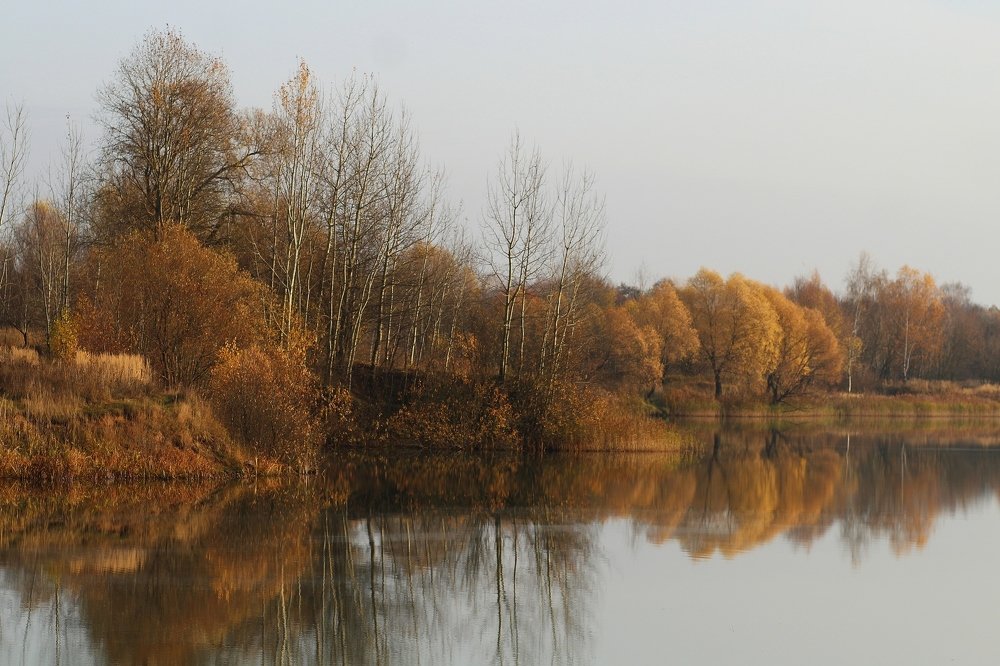 Photograph by Светлана Богомолова