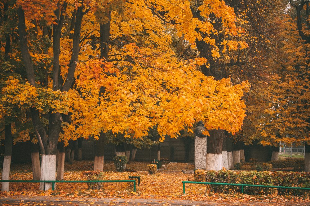 Photograph by Денис Сухачев