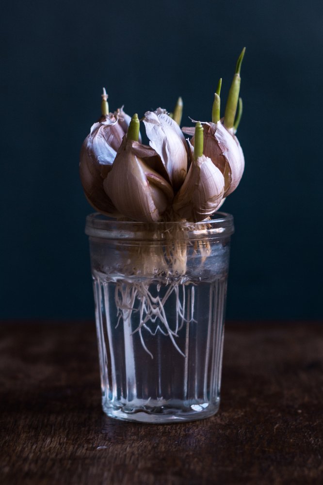 Photograph by Соша Грухина