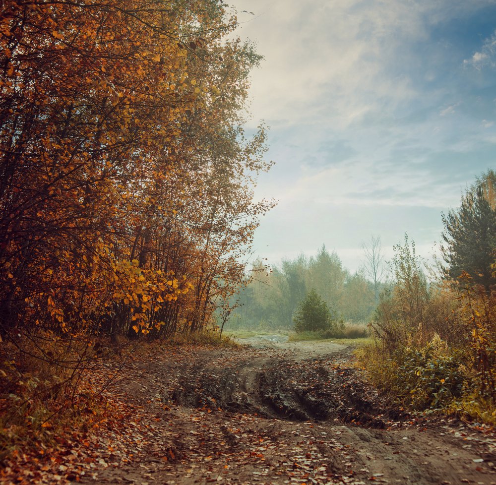 Photograph by Денис Сухачев