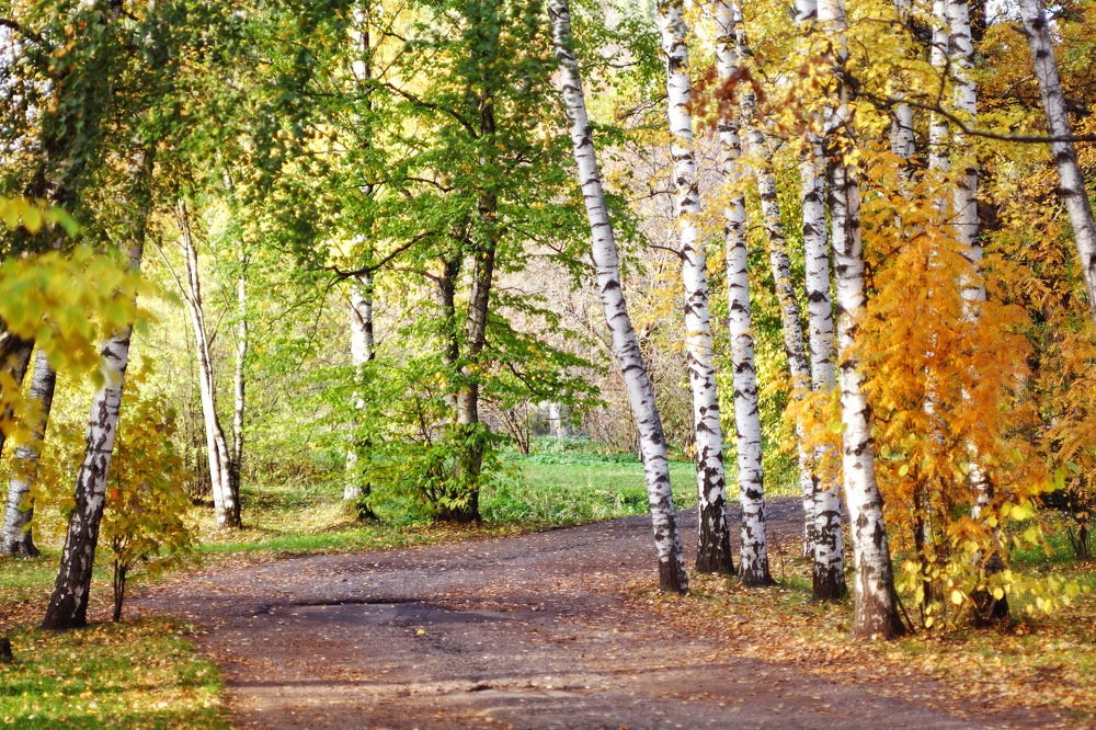 Photograph by Константин Лагоденко