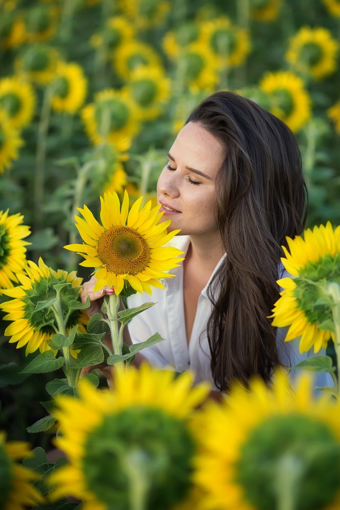 Прекрасная девушка в ярких подсолнухах