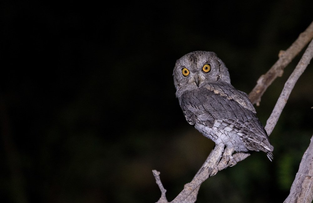 Photograph by Nagarajan P