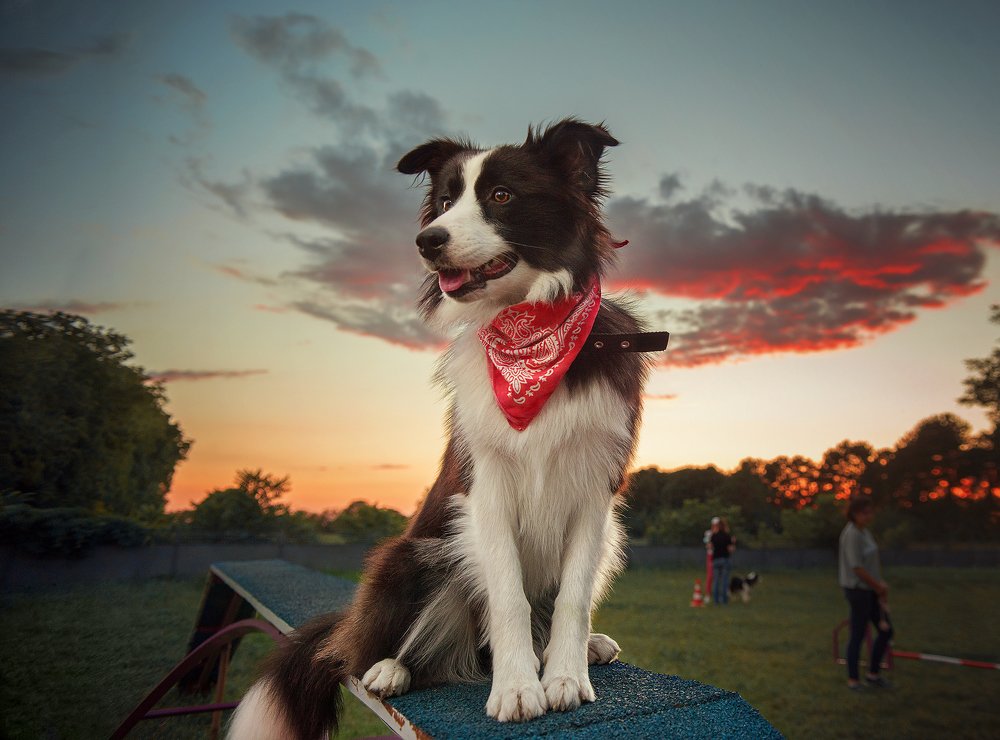 Photograph by Григорьева Юлия